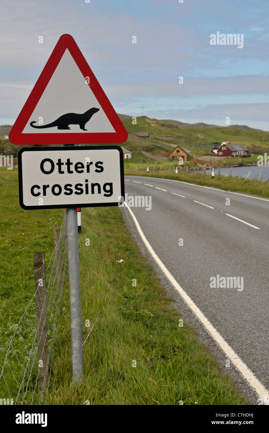 Otter (Lutra lutra) crossing sign on road, Shetland, Scotland, UK Stock Photo