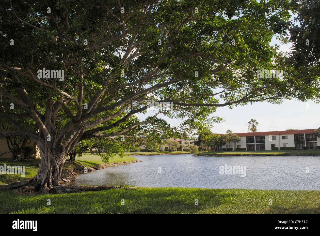 Weston Fort Lauderdale Florida