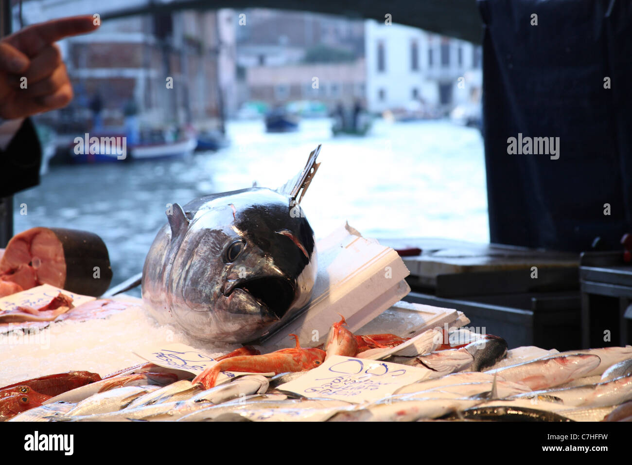 Venice, fish market Stock Photo Alamy