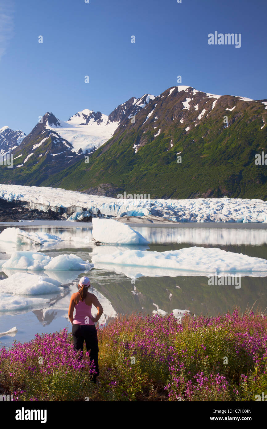 Glaciers in alaska kenai peninsula hi-res stock photography and images -  Page 2 - Alamy