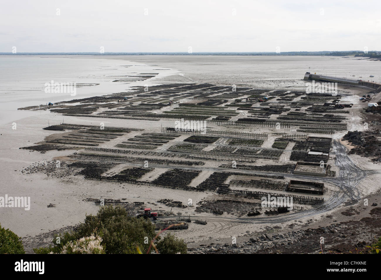 Oyster farms at Cancale, Brittany, France Stock Photo Alamy