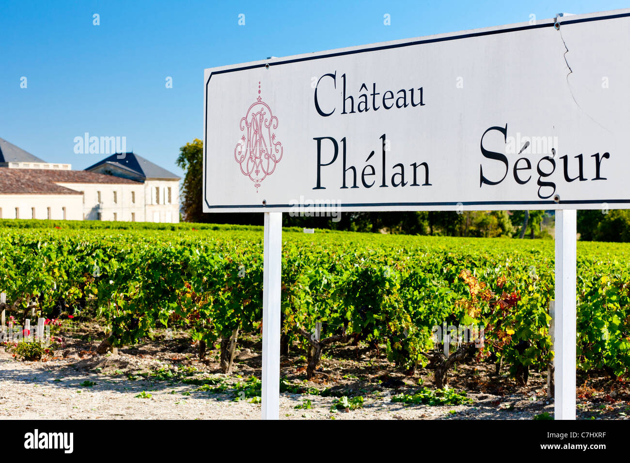 vineyard and Chateau Phelan-Segur, Saint-Estephe, Bordeaux Region, France Stock Photo