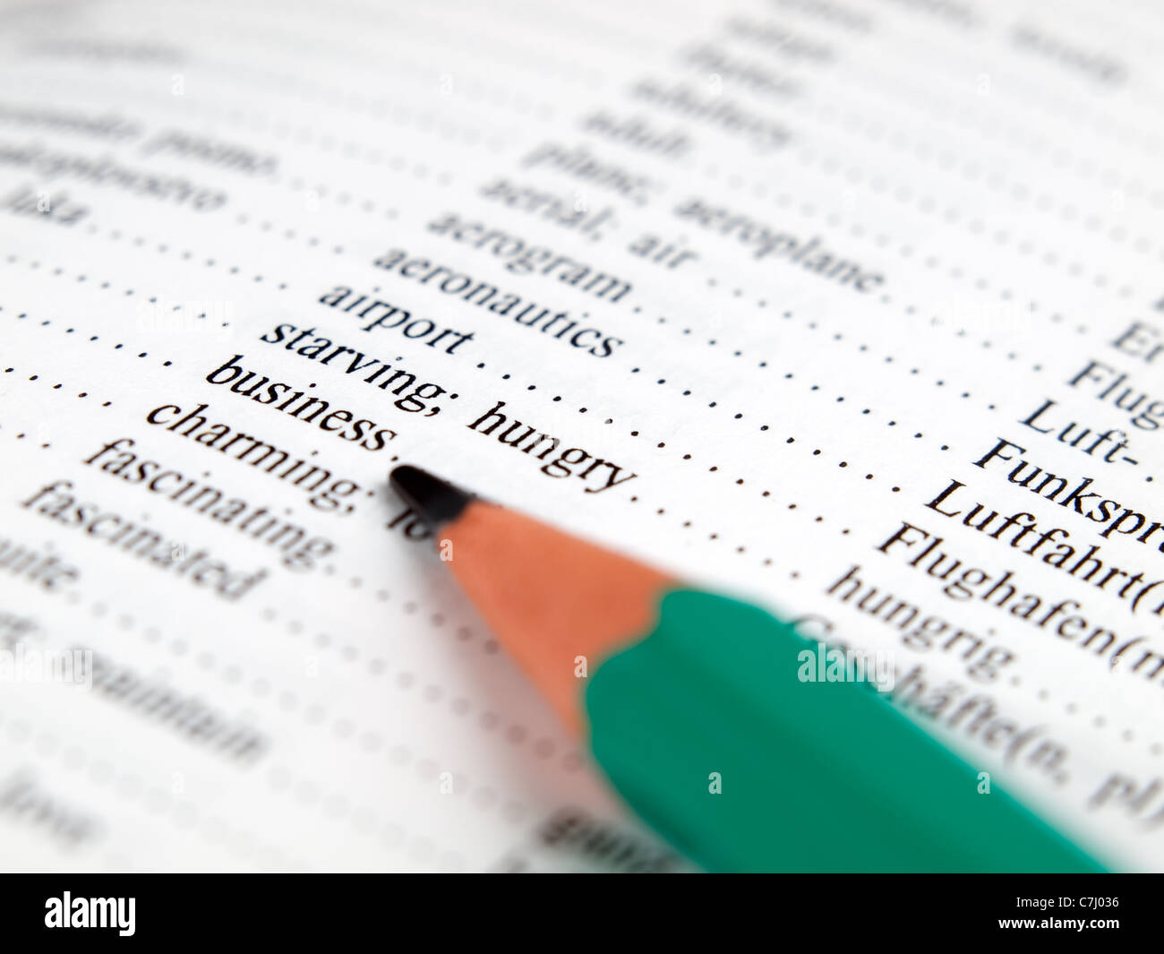 Term business in some dictionary next to words such as starving or charming... Stock Photo
