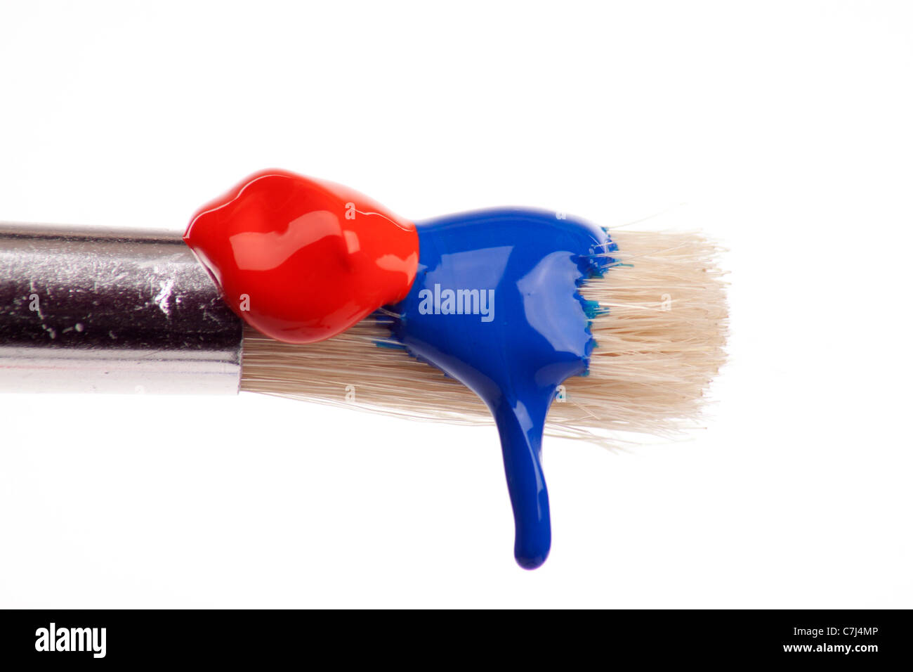 paint brush dripping with different colored paints Stock Photo Alamy