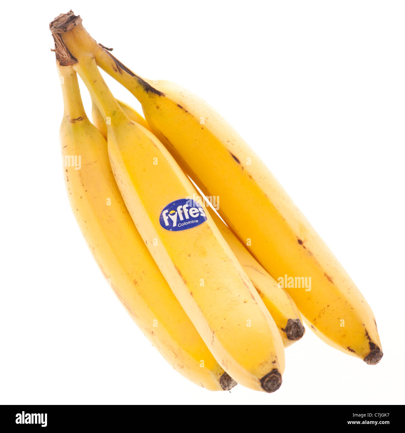 A bunch of ripe yellow Fyffes bananas from Colombia on a white backlit background Stock Photo