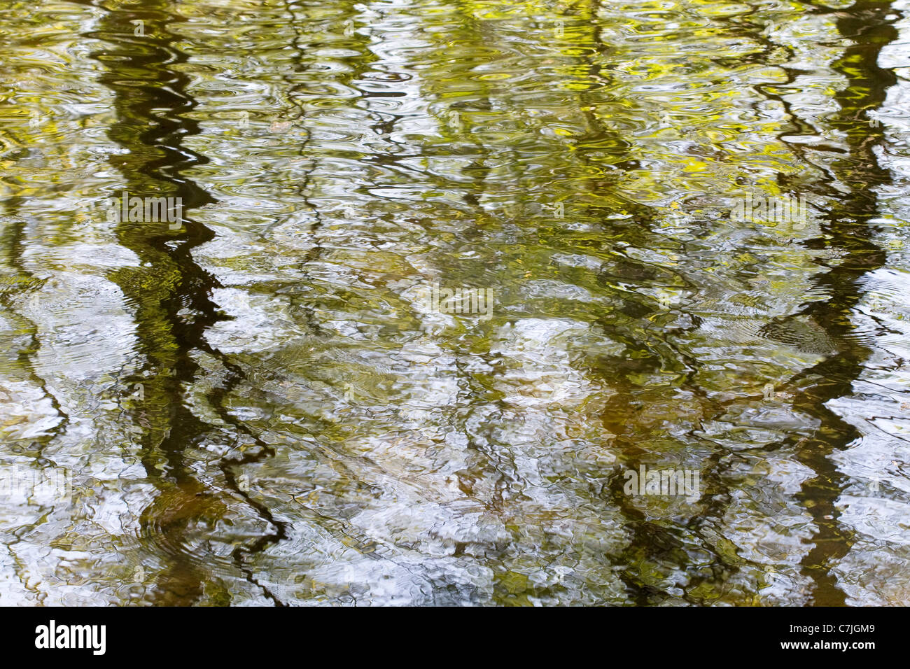Reflections in a Lake of Trees with Autumn Leaves Stock Photo - Alamy