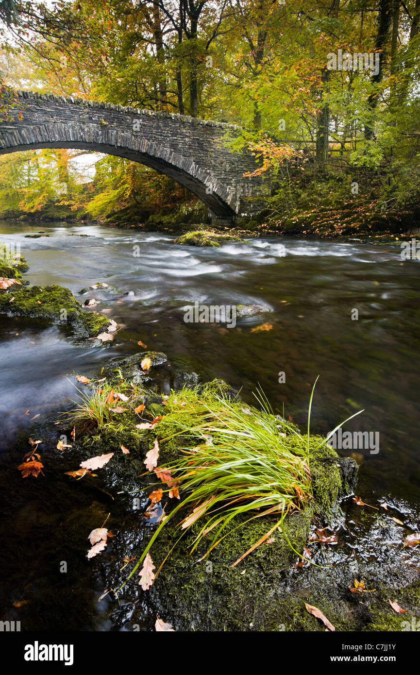 Stone footbridge over a small river in Autumn, Lake District, England, UK Stock Photo