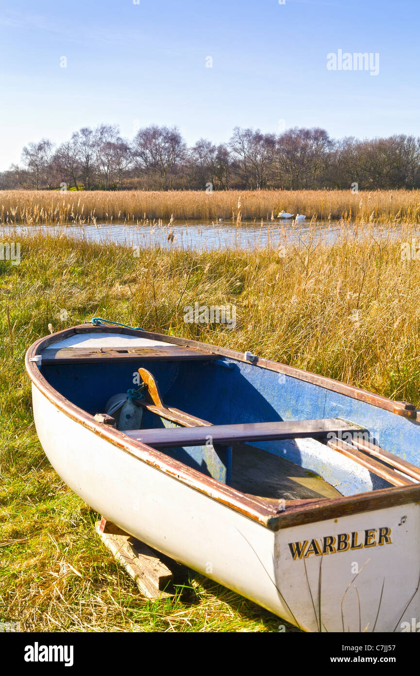 Rowing Boat on Dry Berth on Norfolk Broads Stock Photo Alamy