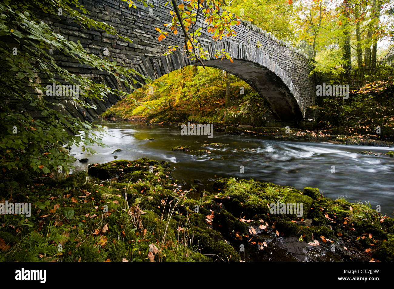 Stone footbridge over a small river in Autumn, Lake District, England, UK Stock Photo
