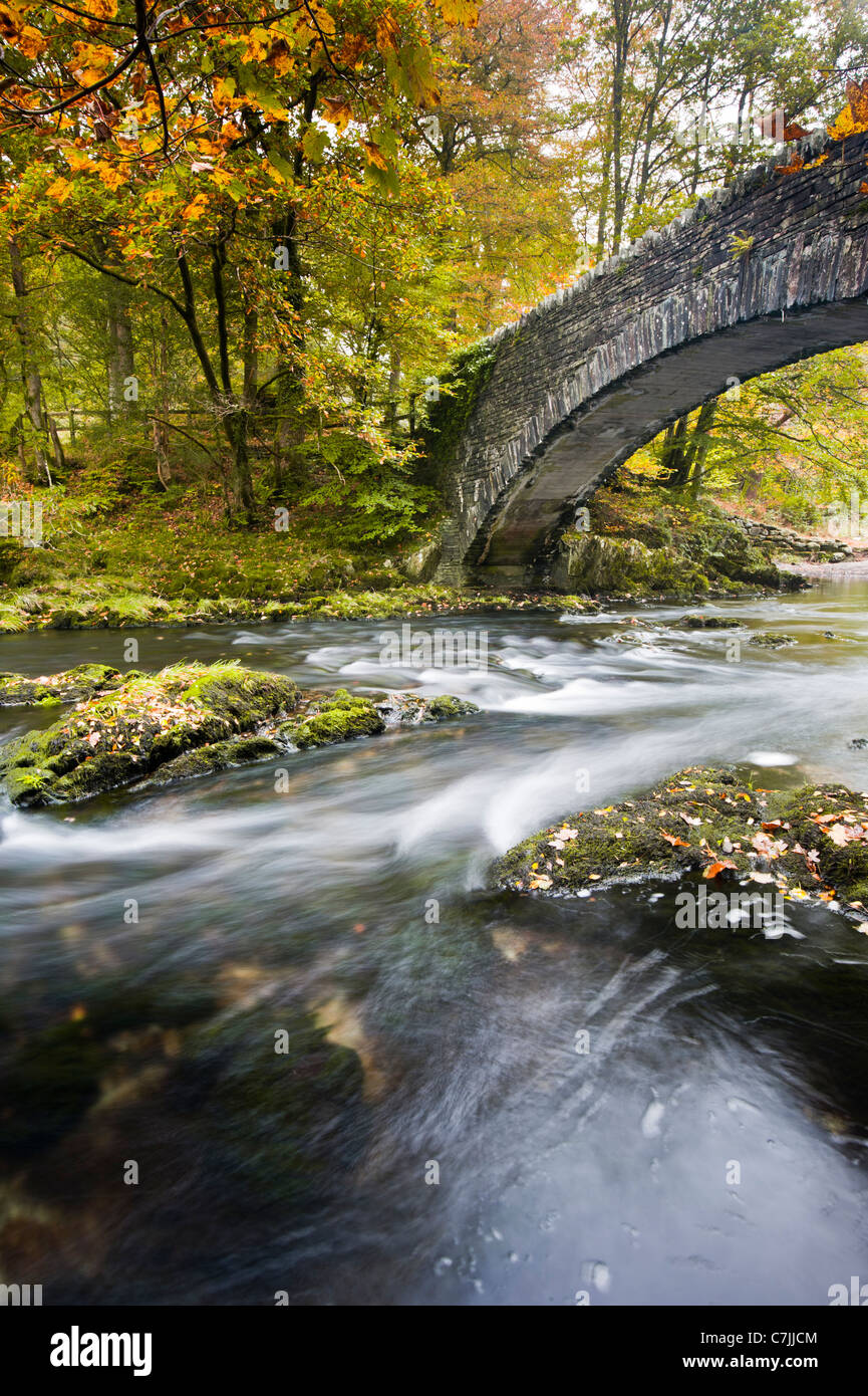 Stone footbridge over a small river in Autumn, Lake District, England, UK Stock Photo