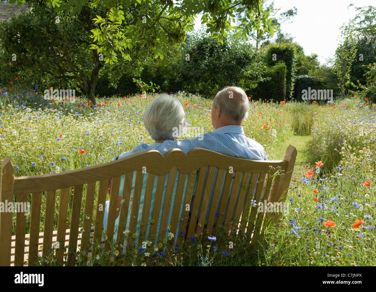 Older Couple Sitting On Bench High Resolution Stock Photography and