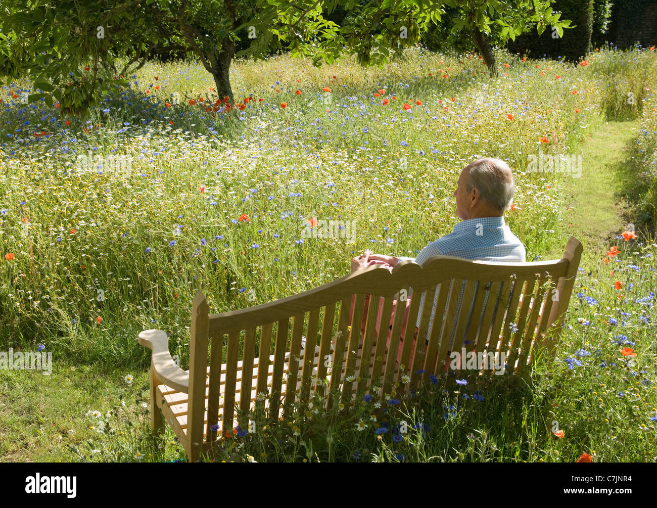 Older man sitting on park bench Stock Photo - Alamy
