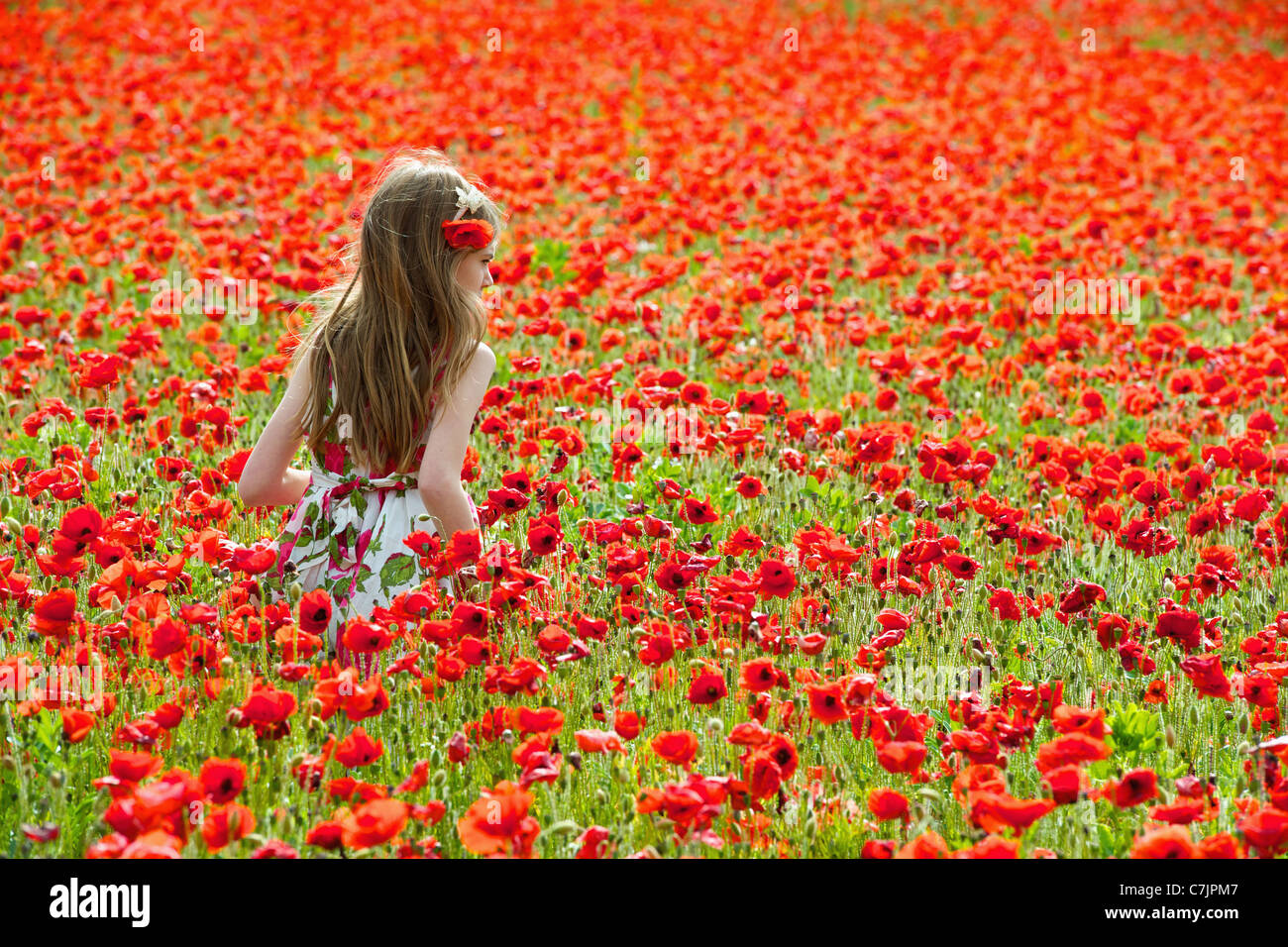 Girl walking in field of flowers Stock Photo