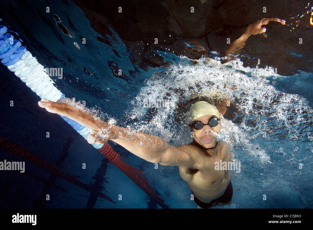 Swimmer doing front crawl in pool Stock Photo Alamy