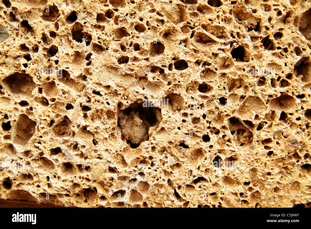 Porous stone texture closeup, may be used as background Stock Photo