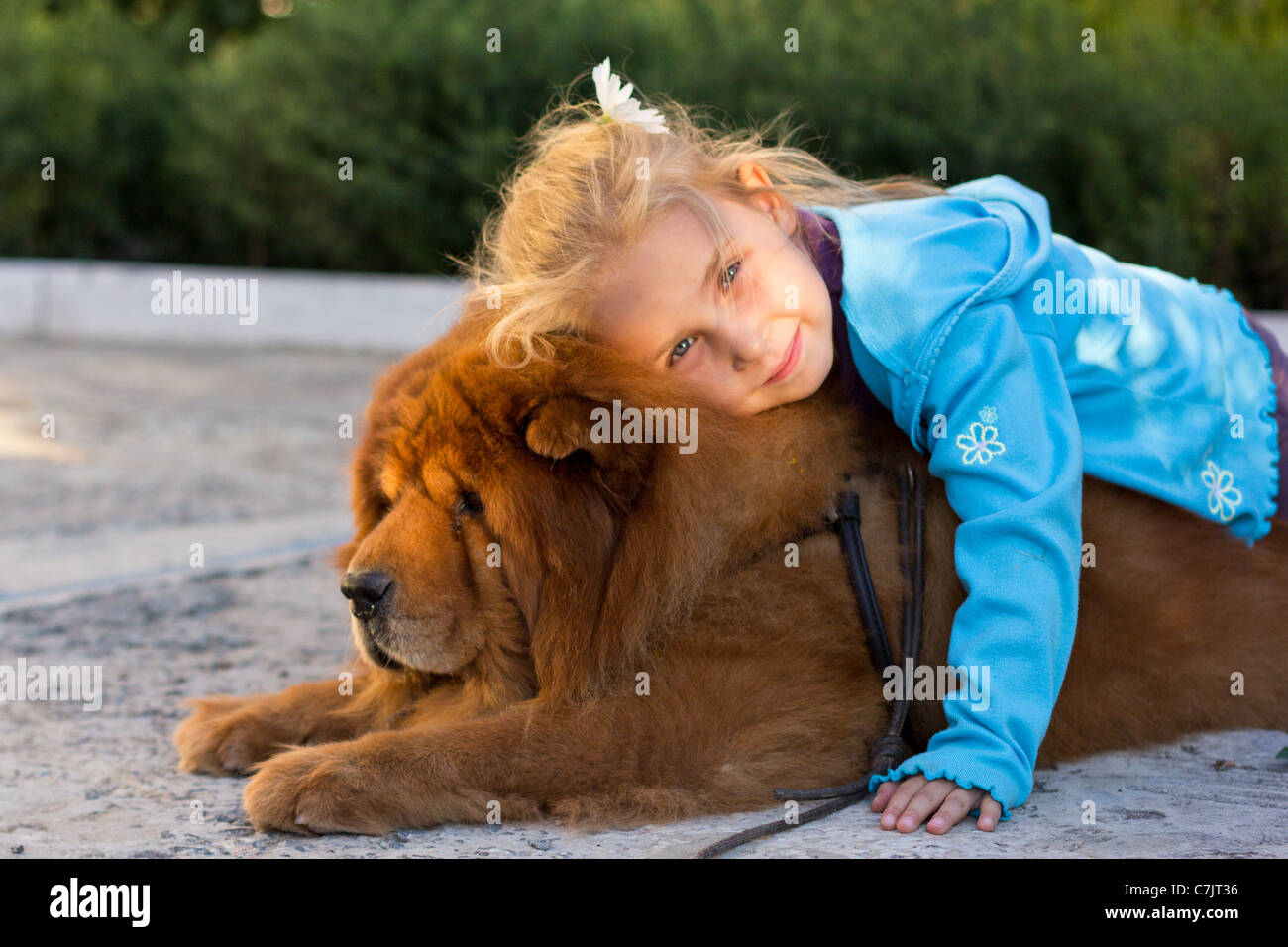 Cute child with chow-chow dog outdoor Stock Photo