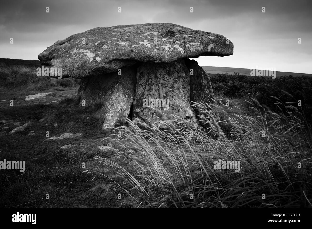 Dry grasses blow in the wind in front of Chun Quoit burial chamber near Morvah, Cornwall Stock Photo