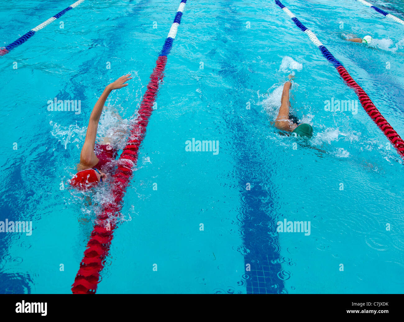 Girls competing in a freestyle swimming race Stock Photo Alamy