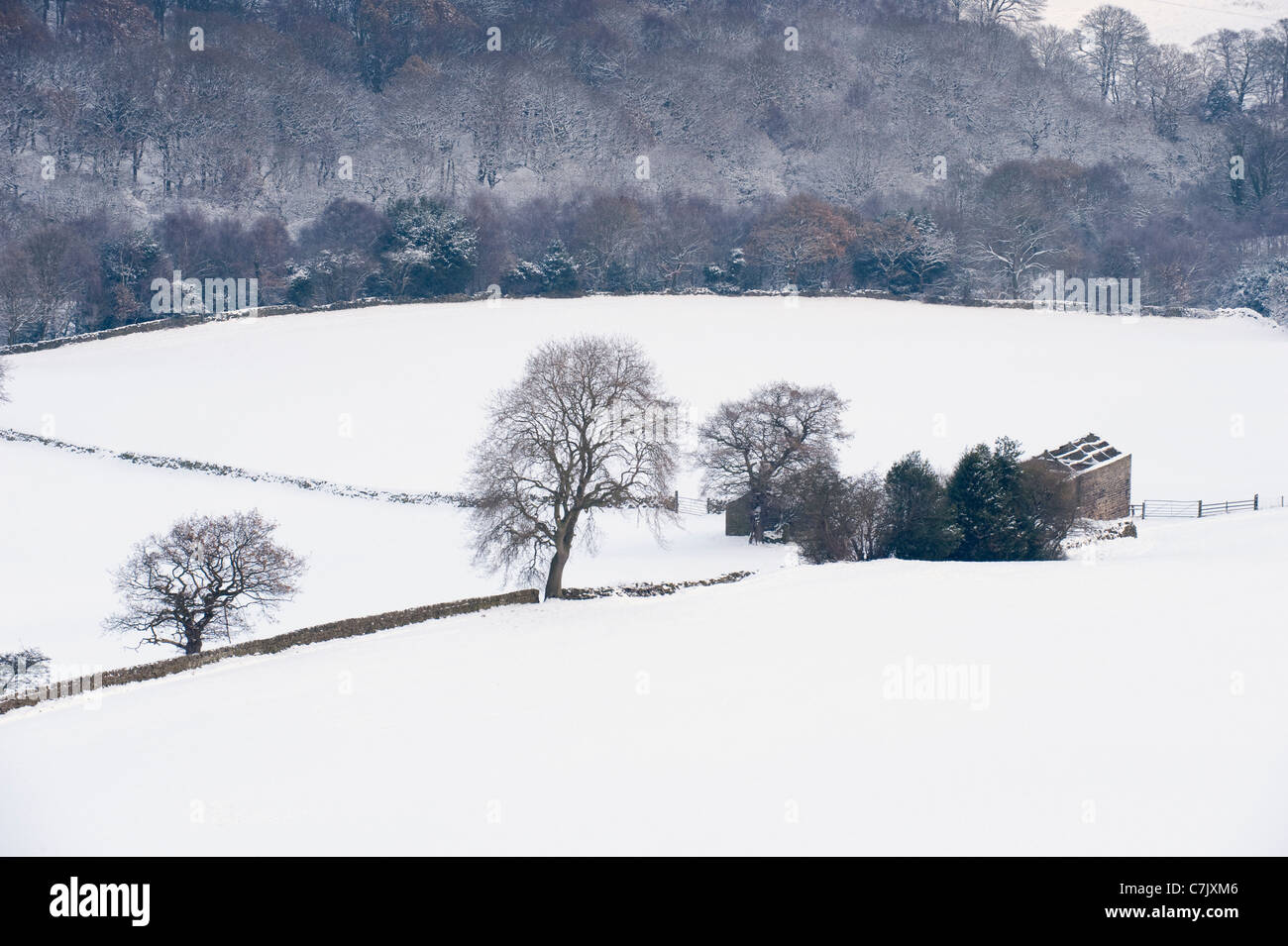 High view of scenic snow-covered rural valley on cold snowy winter day (derelict stone field barn, woodland, hillside slopes) - Yorkshire, England, UK Stock Photo