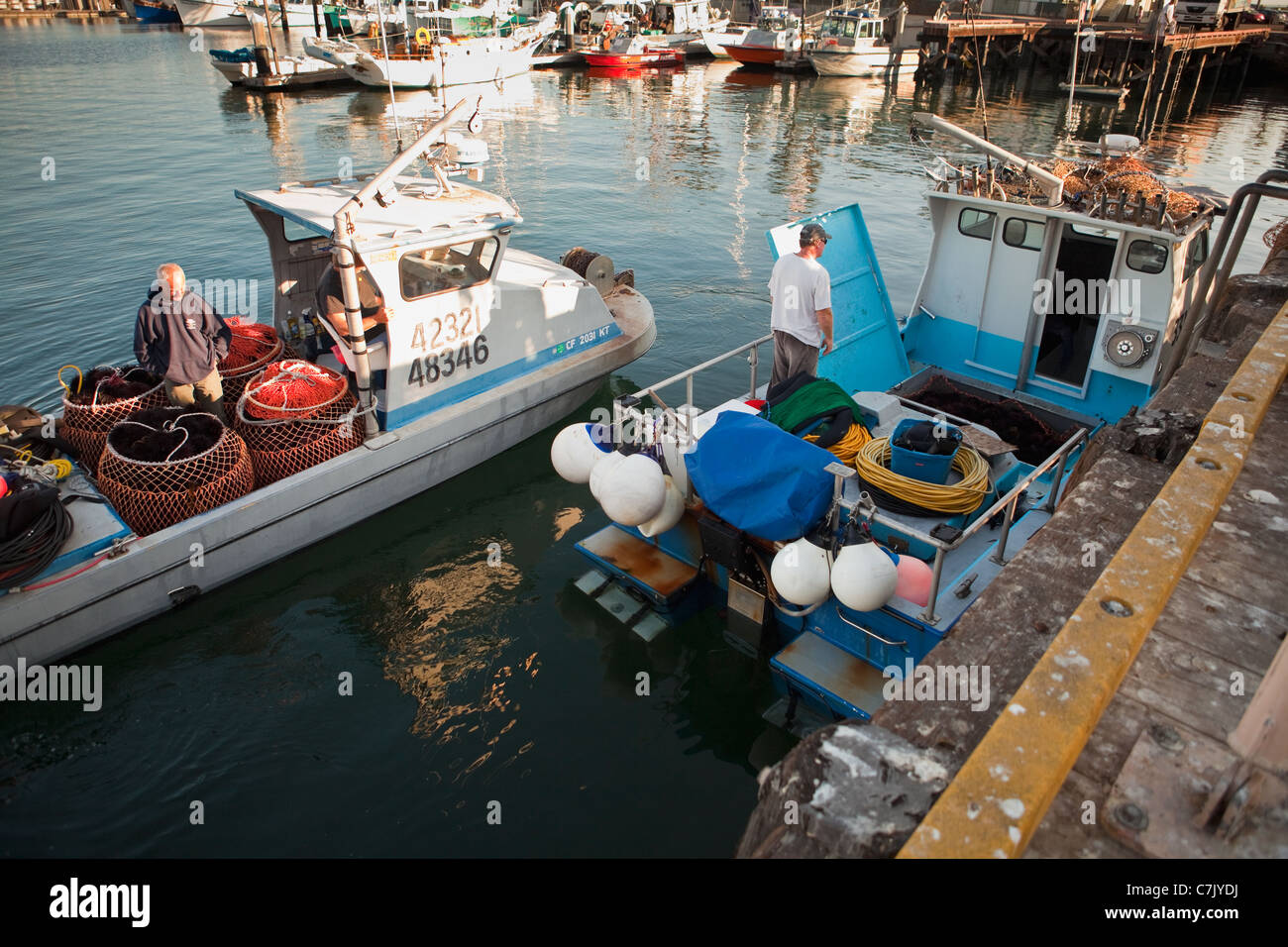 commercial divers unload their catch of red sea urchins, Santa Barbara
