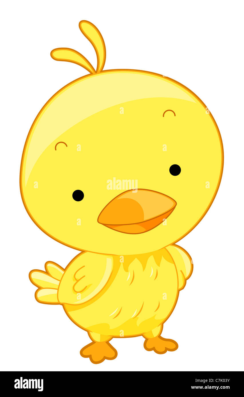Cute Yellow Bird with Clipping Path Stock Photo Alamy