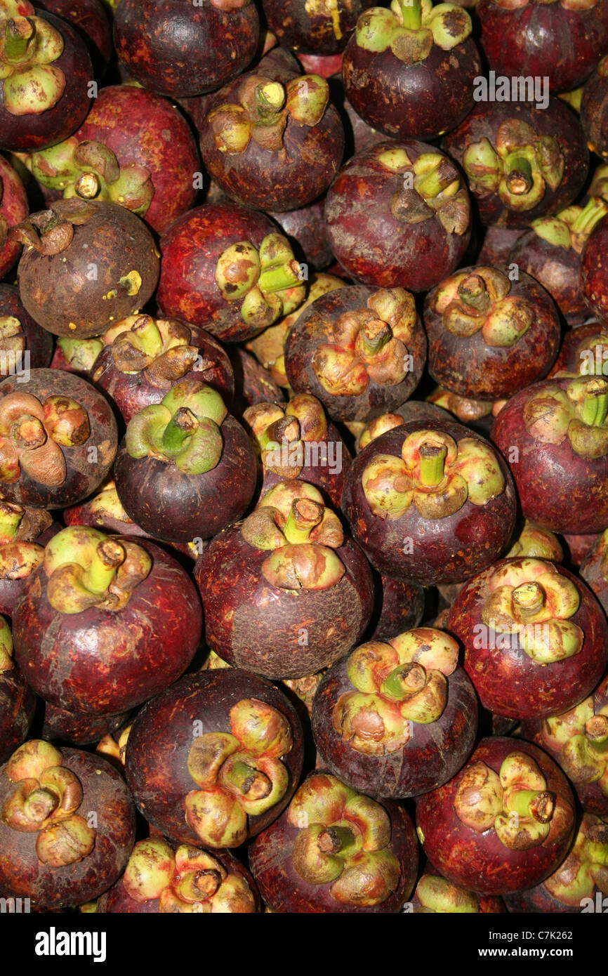 Piles of Mangosteen Fruit  In Brastagi Market, Sumatra Stock Photo