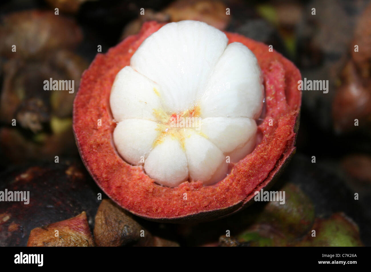 Cross Section Through A Mangostein Fruit  In Brastagi Market, Sumatra Stock Photo