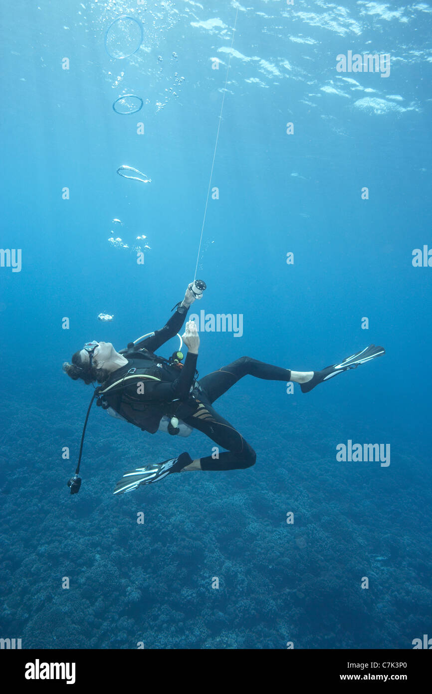 Diver Swimming In Ocean Stock Photo Alamy