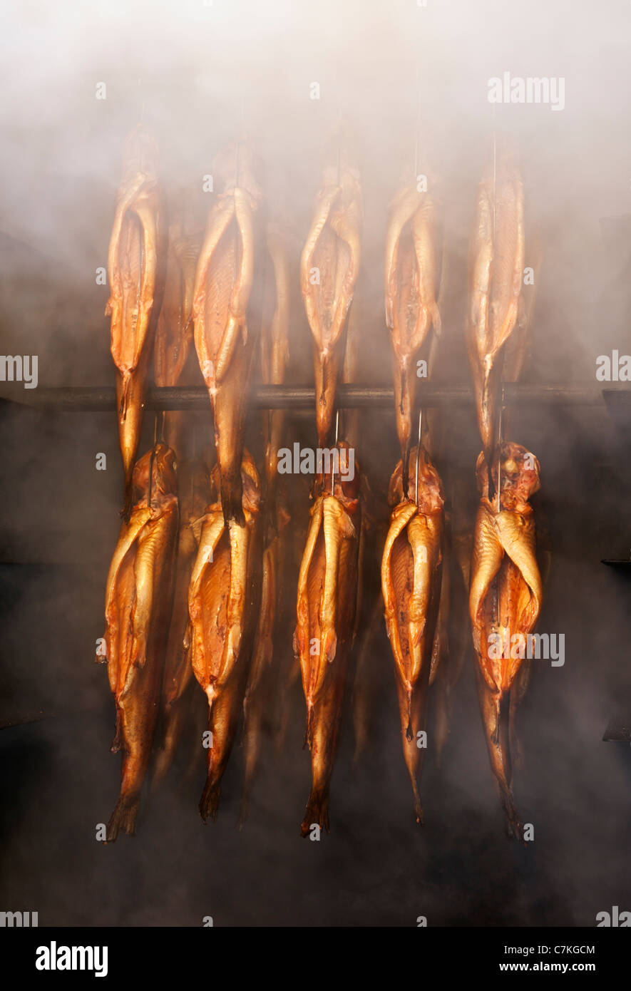 rainbow trout in the smoker Stock Photo