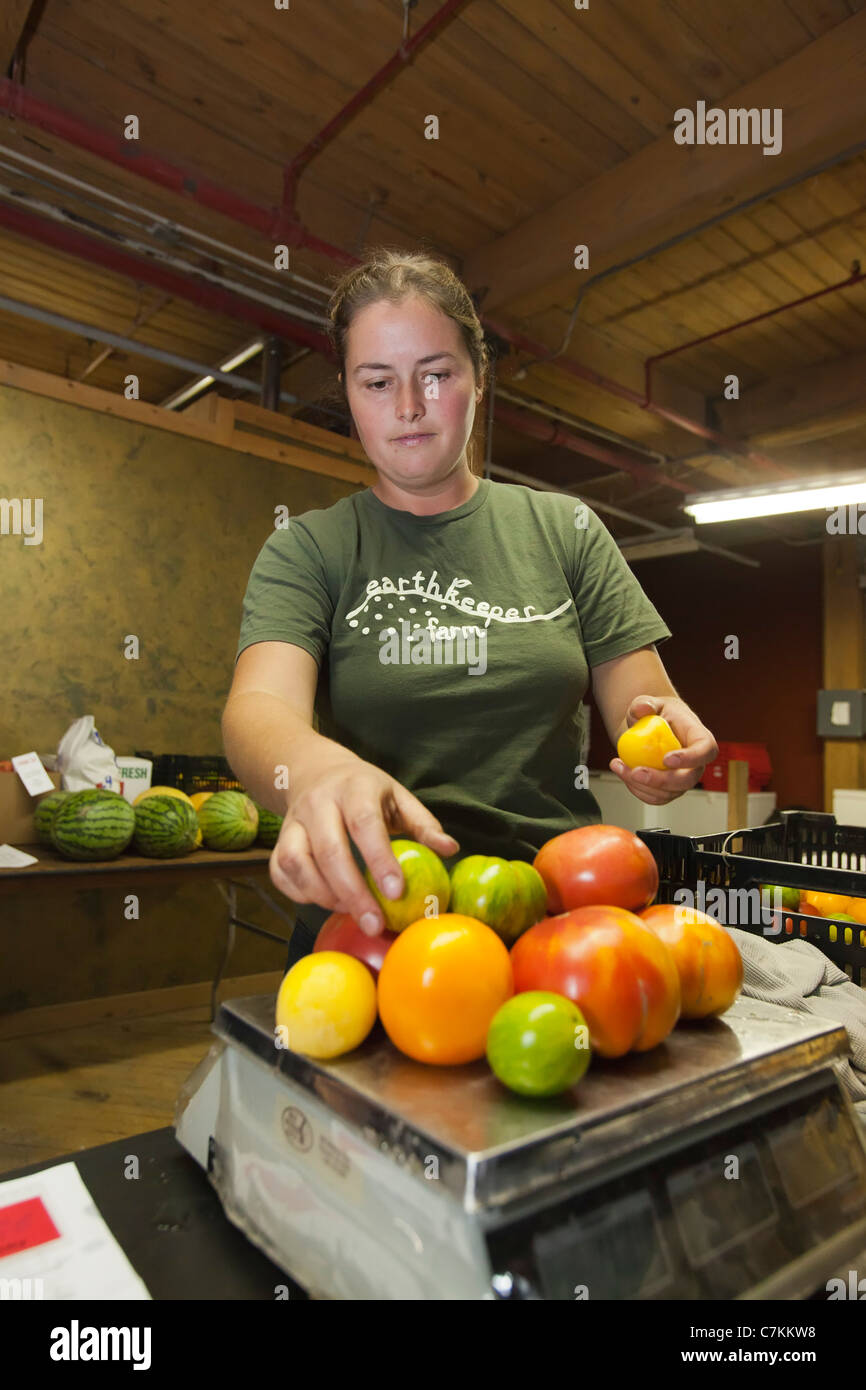 Small Farmers Sell Produce to Institutional Buyers Through Farmlink Stock Photo