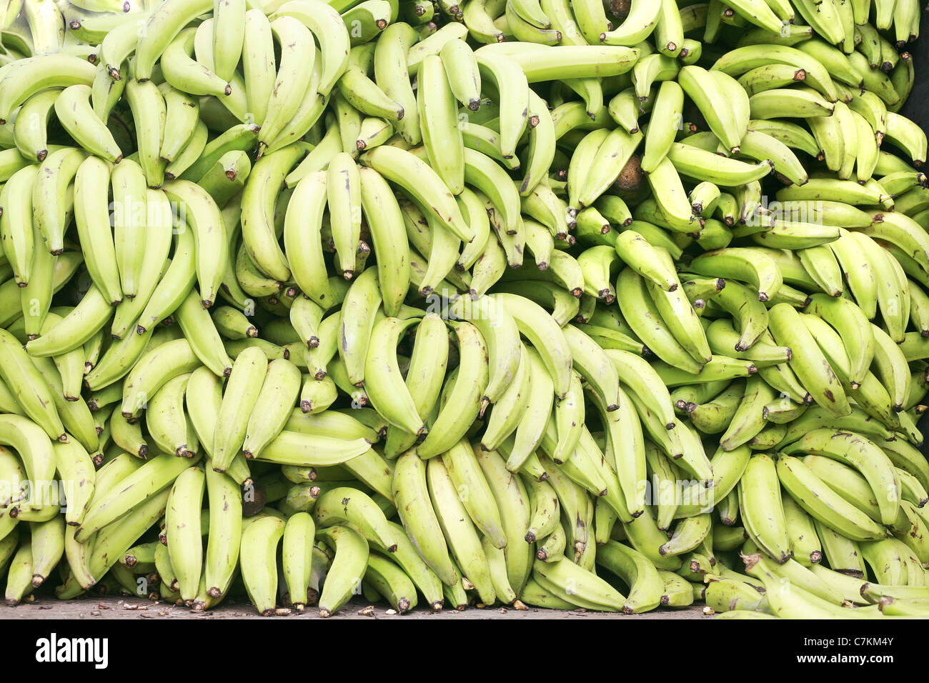 Green plantains (bananas Stock Photo Alamy