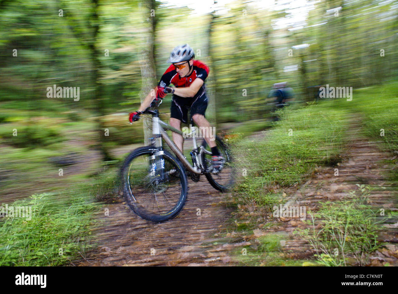 A mountain biker rides a wooded trail in the Quantock Hills, Somerset