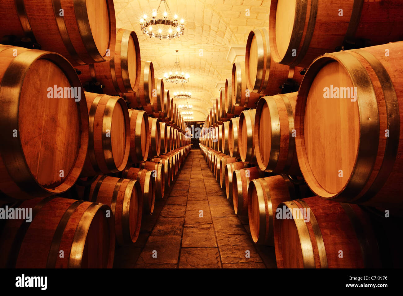 Wine cellar with barrels Stock Photo