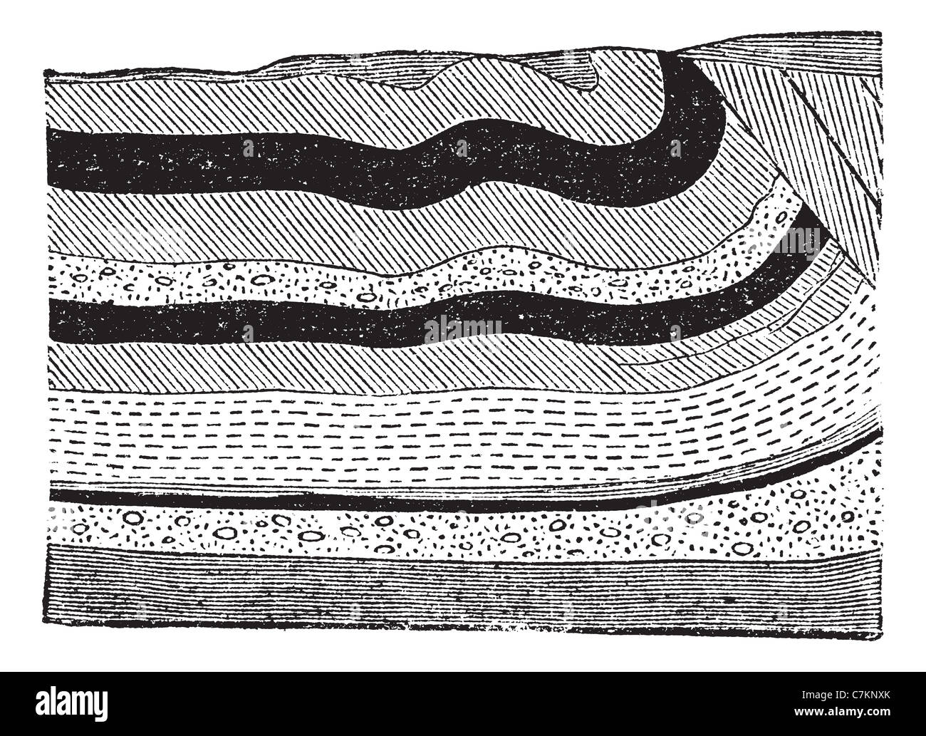 осадочный гранитный базальтовый слой. изображать слой. строение материковой земной коры. строение лакокрасочного покрытия автомобиля. артезианские подземные воды.
