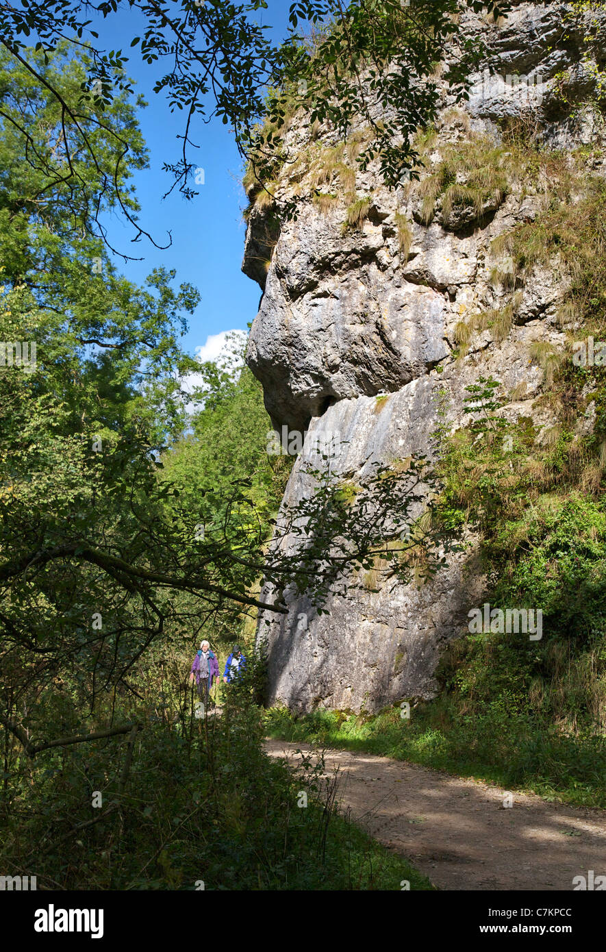 Lion Rock overlooks the path through Dovedale in the Derbyshire Peak District Stock Photo