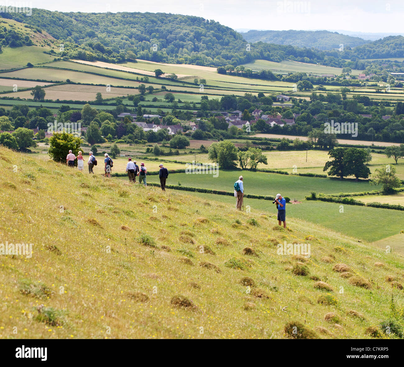 Group of butterfly hunters on the slopes of Collard Hill in Somerset searching for the Large Blue Butterfly Maculinea arion Stock Photo
