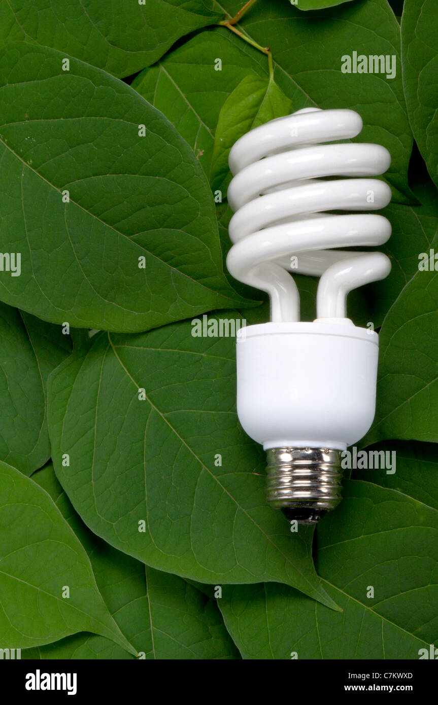 Compact fluorescent light bulb on green leaves Stock Photo Alamy