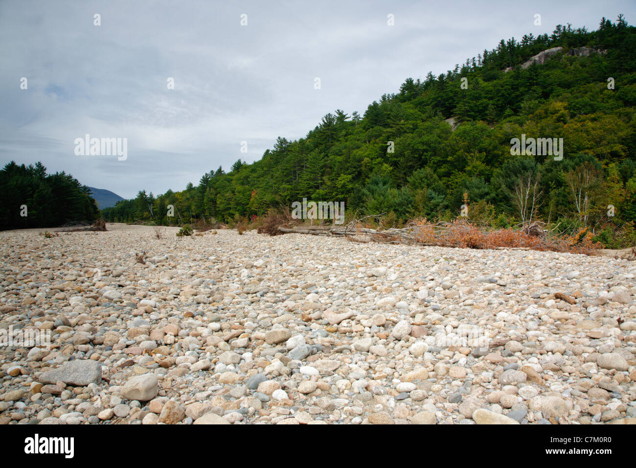 Saco River in the White Mountains, New Hampshire USA Stock Photo Alamy