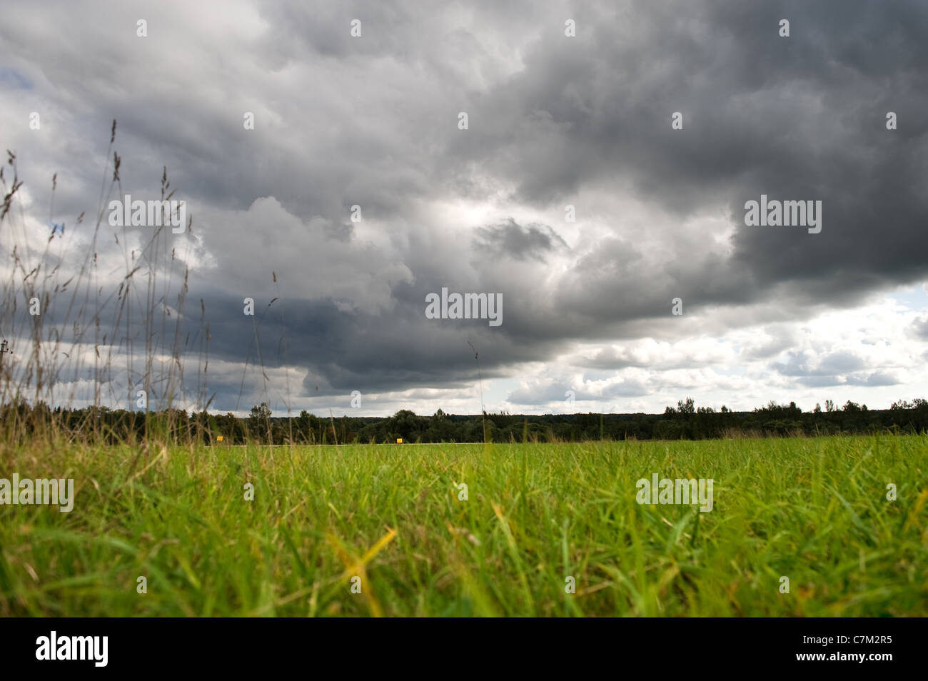 summer field - with dramatic stormy sky Stock Photo