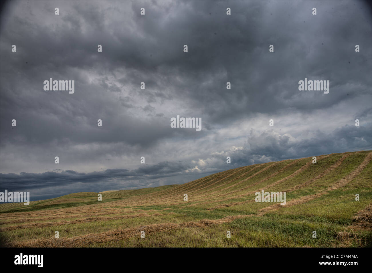 Prairie Road Storm Clouds Saskatchewan Canada field Stock Photo - Alamy
