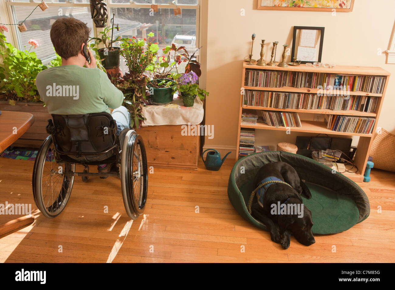 Woman with multiple sclerosis in a wheelchair talking on a mobile phone with service dog sitting near her Stock Photo