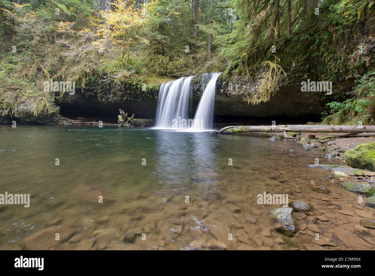 Upper Butte Creek Falls Waterfall in Scotts Mills Oregon Stock Photo
