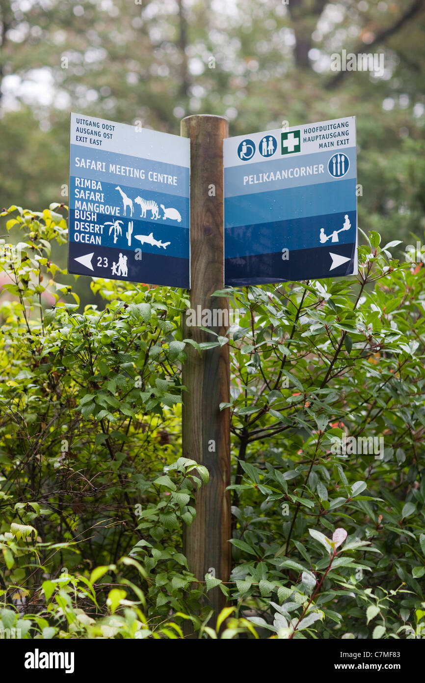 Directional sign within Burgers Zoo, The Netherlands, Europe. Stock Photo