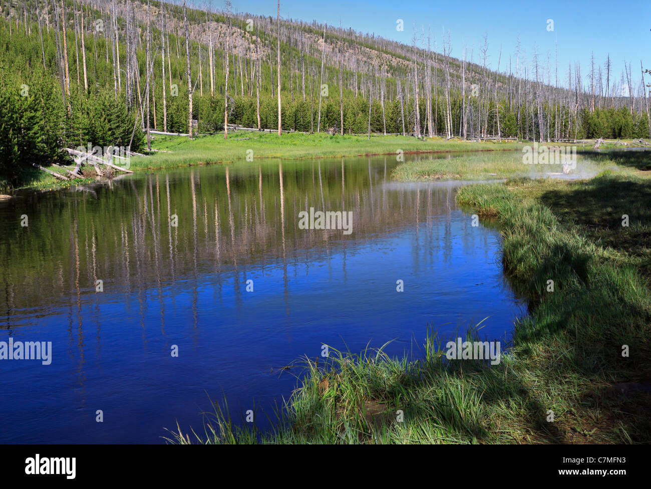Gibbon river hires stock photography and images Alamy