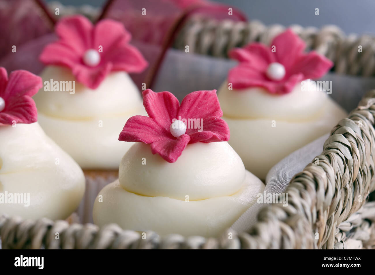 Cupcake gift box Stock Photo