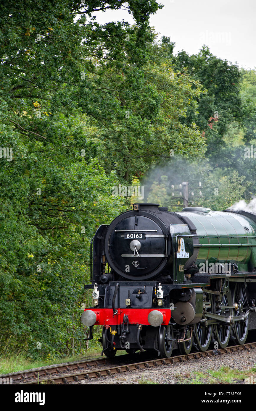 Peppercorn A1 Pacific No 60163 Tornado steam locomotive approaching Highley Station, Shropshire on the Severn Valley Railway Stock Photo