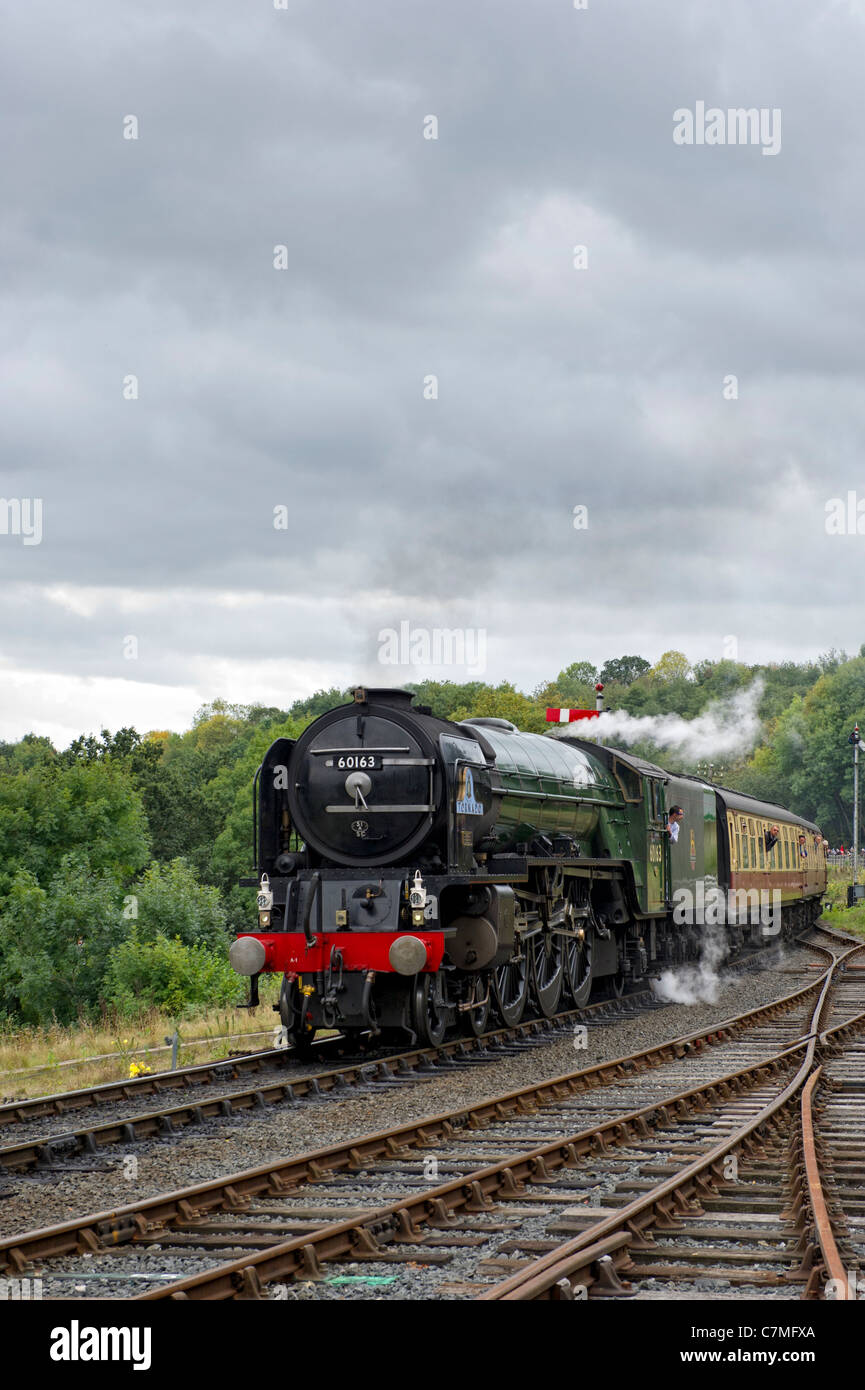 Peppercorn A1 Pacific No 60163 Tornado steam locomotive approaching Highley Station, Shropshire on the Severn Valley Railway Stock Photo