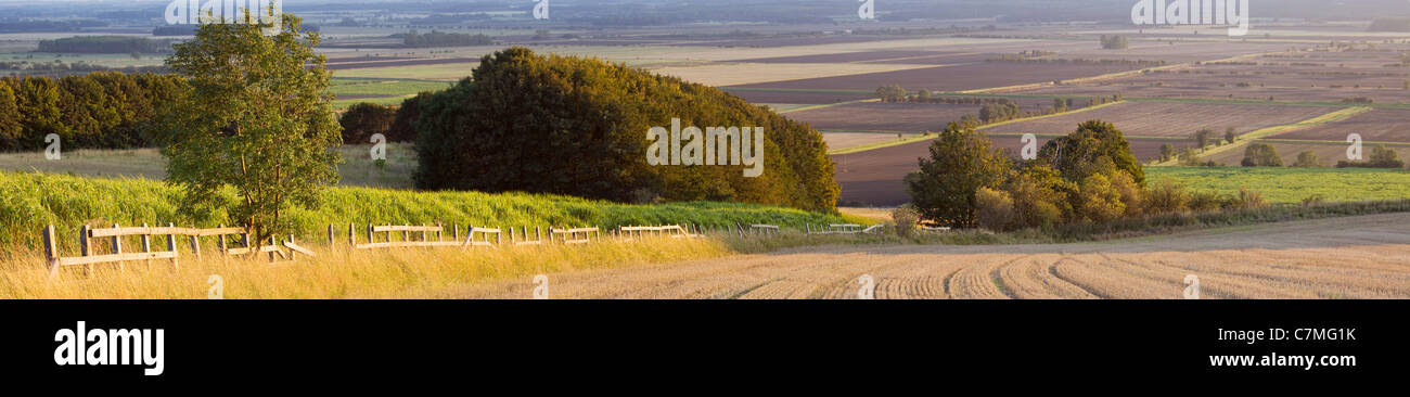 A panoramic photograph of the North Lincolnshire countryside on a sunny September evening Stock Photo