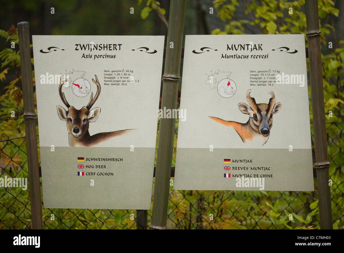 Deer Species Identification Sign. Burgers Zoo. The Netherlands. Holland. Stock Photo