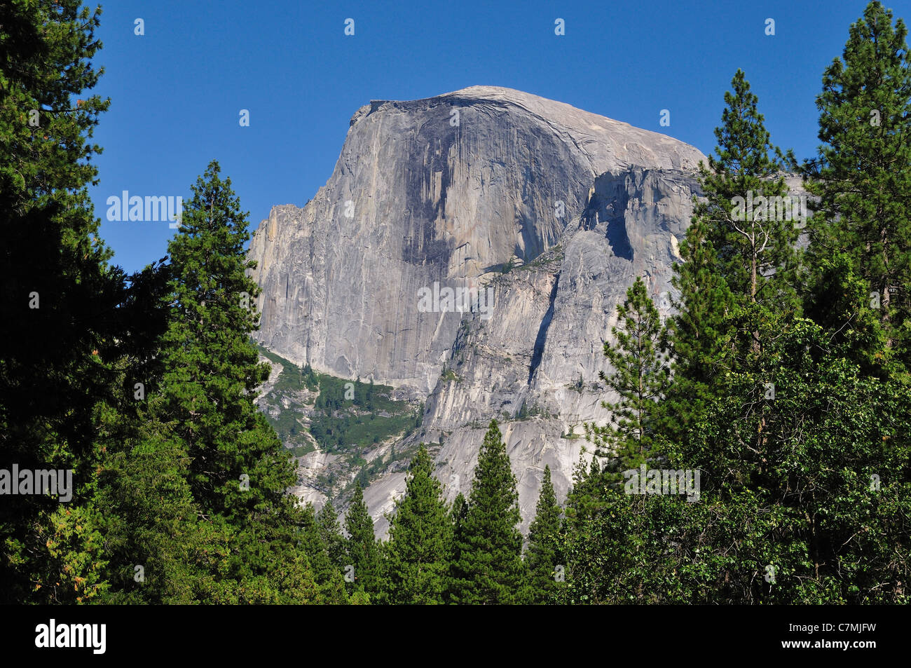 The Half Dome. Yosemite National Park, California, USA. Stock Photo